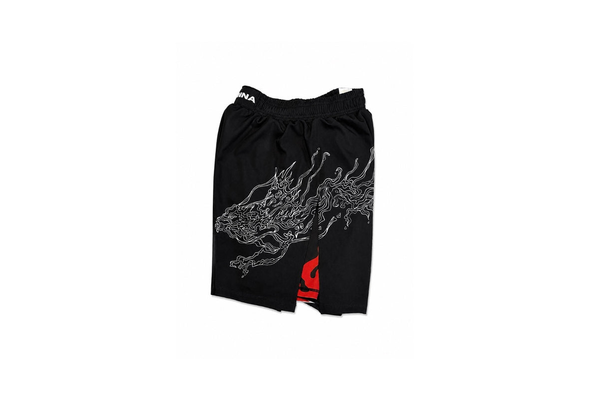 Men's 2-in-1 Fight Shorts